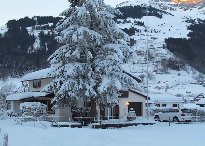 Eien By Interhome Engelberg